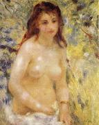 Pierre-Auguste Renoir The female nude under the sun oil on canvas